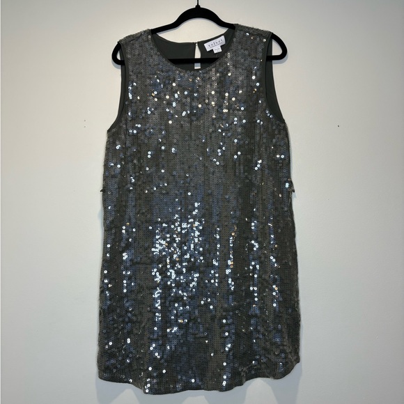 Anthropologie Velvet gray-green Sequin dress - Picture 5 of 9